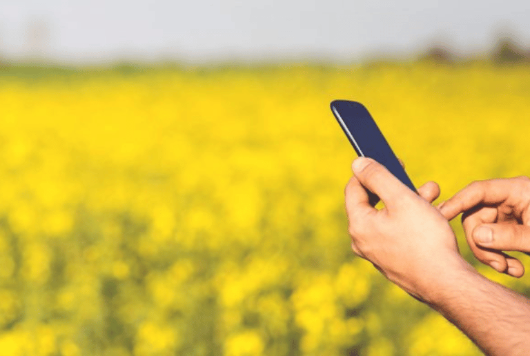 Agripreneurship: A Path to the Future
